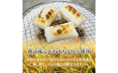 魚沼産こがねもち１００％使用 令和7年産 越路もち500g×2 餅 
