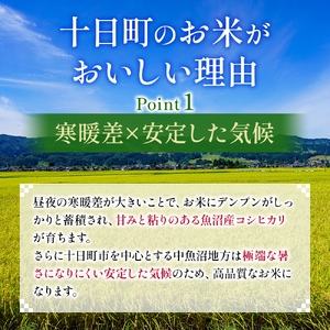 令和7年度産【十日町産】 魚沼産コシヒカリ5kg 米 お米 こしひかり 精米 新潟 