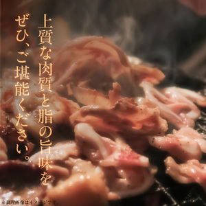【数量限定】近江守山牛あみ焼き用ロース・モモ600g  （勝見牧場） AF-0021