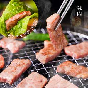 近江牛焼肉カルビ、ロース　600ｇ　特選 近江牛 ロース モモ 国産 国産牛 肉 牛肉 黒毛和牛 スライス 薄切り 赤身 AK-0003