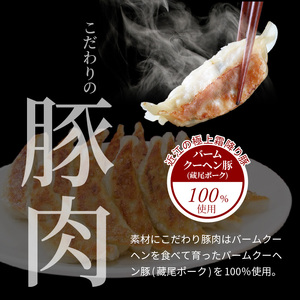 堀久餃子本舗冷凍生餃子5箱パック 幻の餃子 生餃子  バームクーヘン豚 藏尾ポーク BH-0005