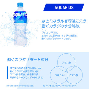 アクエリアス 500mlPET（24本入）コカ･コーラ スポーツ飲料 熱中症対策  コカ・コーラ BB-0001