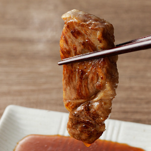 近江牛焼肉ロース、ヒレ　600ｇ 霜降り牛 産地直送  ブランド和牛 ステーキ  国産和牛 日本三大和牛 近江牛 焼肉 BBQ AK-0007