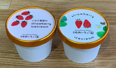 数量限定！いちご農園のアイスクリーム12個パック 完熟いちご アイス アイスクリーム 河西いちご園 完熟いちご  AM-0009