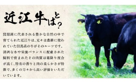 【使いやすい3回】近江牛切り落とし定期便　切り落とし 近江牛  定期便 冷蔵 国産 黒毛和牛 霜降り 牛肉 牛  産地直送 ブランド牛 人気 お取り寄せ  AJ-T001