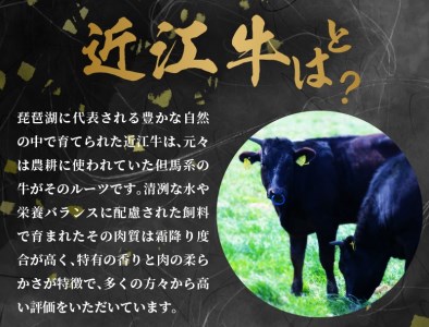 【豪華返礼品6回】近江牛プレミアム定期便  冷蔵 国産 黒毛和牛 霜降り 牛肉 牛 産地直送 ブランド牛 人気 お取り寄せ お取り寄せグルメ AJ-T004