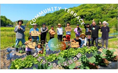 【農薬・化学肥料不使用】旬のお野菜おまかせセット 6～7品 | 野菜 野菜 野菜 野菜 野菜