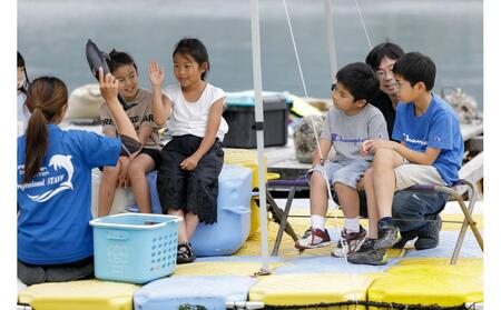 イルカのトレーナー体験 ペア 入場券付き【体験 イルカ ドルフィン 日本ドルフィンセンター 香川県 さぬき市】