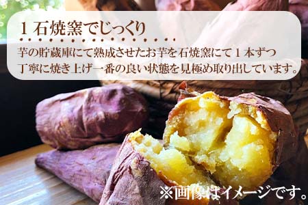 冷凍焼き芋 ハニープぺル(安納芋) 計1.2kg 桃山天下芋本舗 やきいも さつまいも おやつ