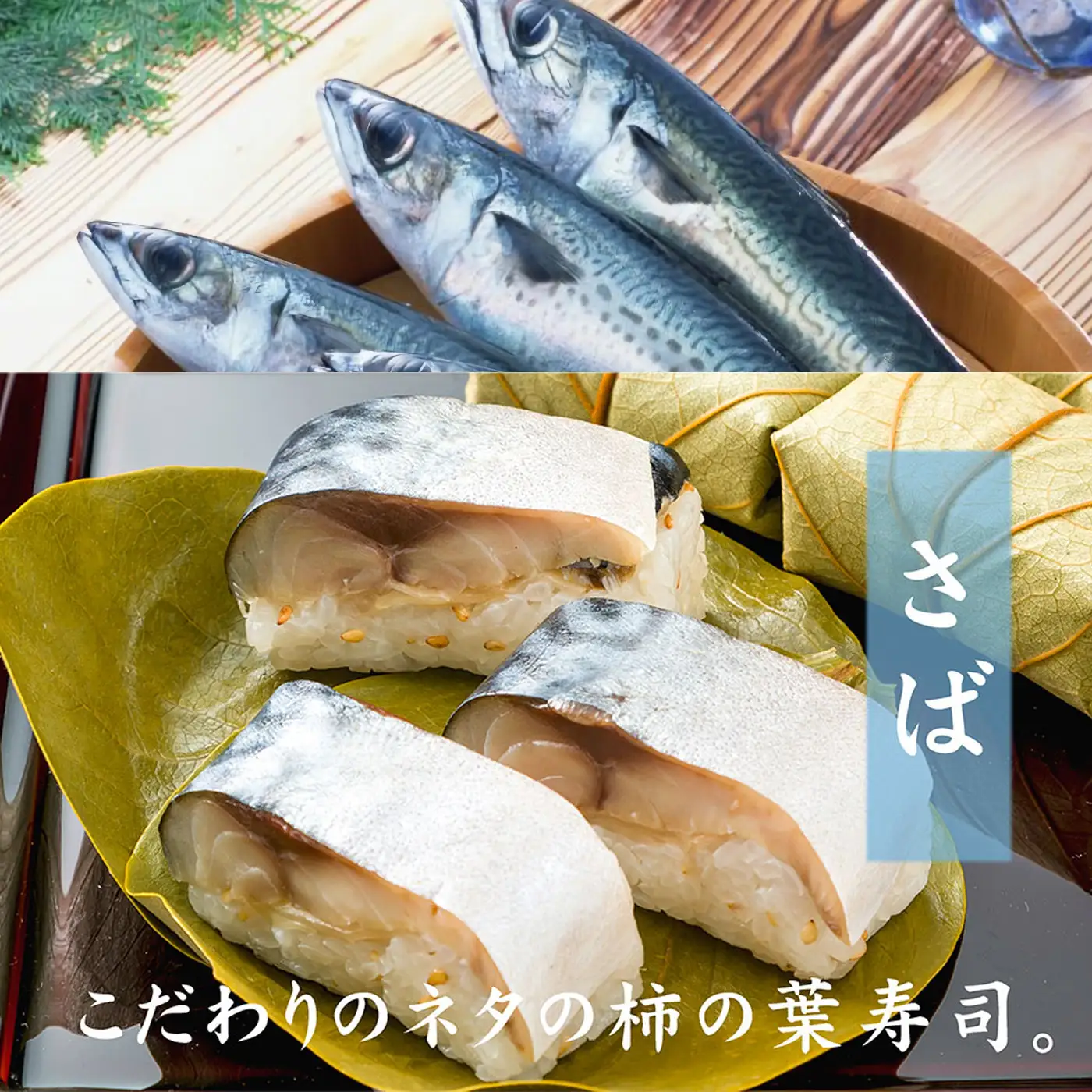 特製柿の葉寿司「吉野傳」さば・さけセット  | 柿の葉寿司 鯖 鮭  寿司