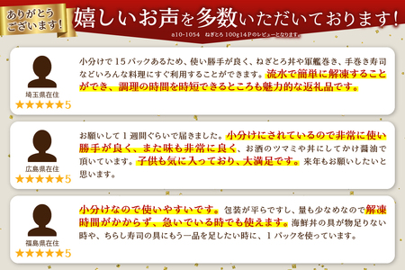 a10-1054　ねぎとろ100g14Ｐ
