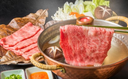 牛肉 切り落とし 500g しゃぶしゃぶ すき焼き 500g 博多和牛 A4～A5 セット 合計1kg 配送不可：離島 