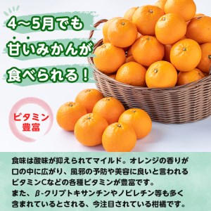 i586 ＜2026年3月下旬～6月中旬の間に発送予定＞《傷ありのため訳あり》農6みかん(約5kg) 果物 フルーツ 柑橘 国産 鹿児島県産 みかん 蜜柑 【江崎果樹園】
