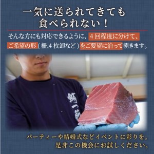鷹島産本まぐろ定期便（1本分）( マグロ まぐろ 本マグロ 本まぐろ 鮪 赤身 中トロ 冷凍 刺身 刺し身 海鮮 海の幸 魚 魚介 九州 長崎 松浦市 )【T00-001】