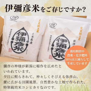令和7年産 伊彌彦米 4kg(2キロ×2袋) | 伊彌彦米 新潟県