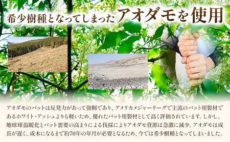 実打から記念品まで広範な用途！「アオダモ 野球用オーダーバット」名入れ可 やきゅう 記念品 贈り物 野球 バット アオダモ 文字入り 野球グッズ 野球用品 WBC 送料無料 硬式用 硬式バット 本別町観光協会  北海道 本別町《受注制作のため最大3か月以内に出荷予定》