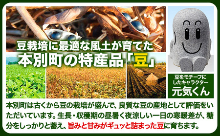 北海道おつまみセット「MameManmaだいずくん」(30g×10袋) 本別町農業協同組合 送料無料 北海道 本別町《60日以内に出荷予定(土日祝除く)》まめまんま 豆 大豆 まめ おつまみ だいず 燻製