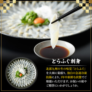 とらふぐ刺身(4人前) 菊盛り一尺大皿30cm ふぐ フグ 本ふぐ ふぐ刺し ふぐ皮 てっさ もみじおろし 高級 お祝い ギフト  贈り物 贈答用 ギフト 冷凍【マル五】as06-003
