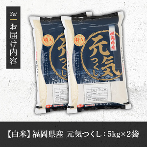 《白米》福岡県産ブランド米「元気つくし」(計10kg・5kg×2袋) 白米 米 お米 おこめ ごはん げんきつくし ご飯 常温 福岡県産 ブランド米 常温 常温保存 おにぎり おむすび お弁当 ライス【朝ごはん本舗】as05-055 