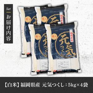 《白米》福岡県産ブランド米「元気つくし」(計20kg・5kg×4袋) 白米 米 お米 おこめ ごはん げんきつくし ご飯 常温 福岡県産 ブランド米 常温 常温保存 おにぎり おむすび お弁当 ライス【朝ごはん本舗】as05-056