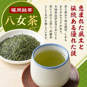 福岡銘茶八女茶 特選セット(5種・合計550g) 福岡 八女茶 茶 緑茶 日本茶 特上煎茶 深むし茶 煎茶 抹茶 粉末 粉末抹茶 粉末八女茶 飲み比べ 中島製茶本舗 家庭用 普段使い 個包装 贈り物 贈物 プレゼント 贈答用【マル五】as06-028