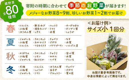 【日時指定OK】本日のお野菜セット （小サイズ/約8～10種） / 野菜 有機栽培 産地直送 新鮮 旬 詰め合わせ 宮崎県綾町_A0053-001