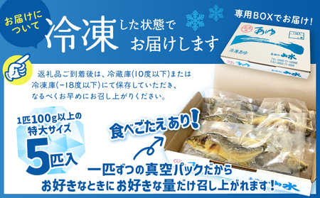 鮎 塩焼き 焼き鮎 5匹 冷凍 香ばしい_0015-017