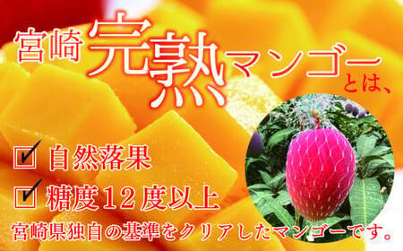 完熟マンゴー ２L×３玉（化粧箱）【宮崎 高級 果物 フルーツ 濃厚 ギフト のし 贈答 先行受付 送料無料】【JA綾町】_A0114-236