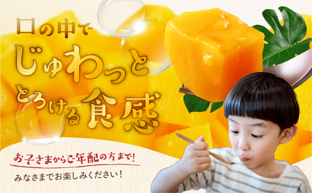 【先行予約/数量限定】完熟マンゴー ２L×２玉（パック）/ 宮崎県産 マンゴー【JA綾町】_A0114-1021
