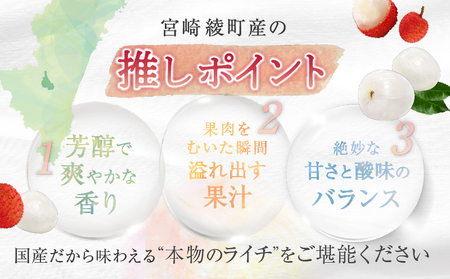 【先行予約】希少 綾生ライチ（化粧箱入り） / 宮崎県産 ライチ 国産【JA綾町】_A0114-1041
