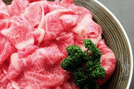 【京丹波・丹波牛】 丹波牛 牛肉 こま切れ 500g 【2026年1月中旬以降発送】 [010IZ005]