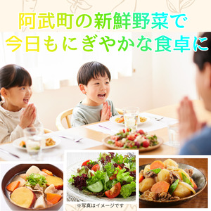 【 阿武町 野菜 詰め合わせ おまかせ 旬野菜 】 野菜セット 旬野菜 新鮮野菜 国産野菜 阿武町産 ご当地野菜 季節野菜 おいしい野菜 やさい 野菜 旬 新鮮 美味しい おいしい お任せ 道の駅 阿武町 山口県 お取り寄せ