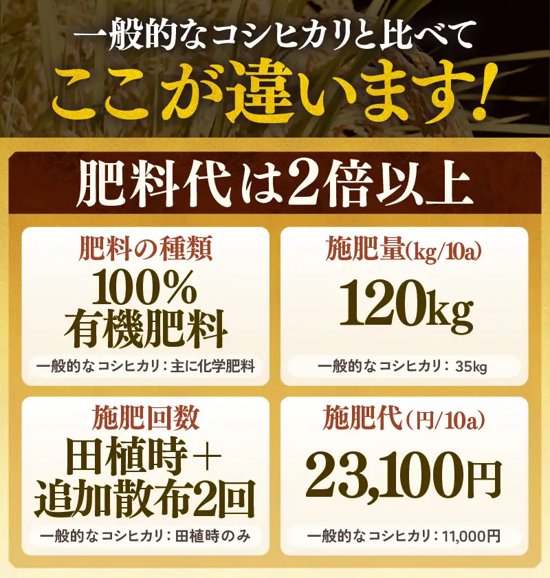 【先行予約】【令和8年産 新米】定期便《3ヶ月連続お届け》コシヒカリ 精米 5kg （計15kg）特別栽培米 農薬不使用 化学肥料不使用 ／ 残留農薬ゼロ 高品質 鮮度抜群 福井県産 ブランド米 白米 ※2026年10月上旬以降順次発送 [aw063-d005]
