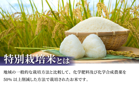 【R7年産新米】東御市産の特別栽培米「風さやか」約10kg｜国産 長野県産 お米 こめ 白米10kg白米白米白米白米白米白米白米