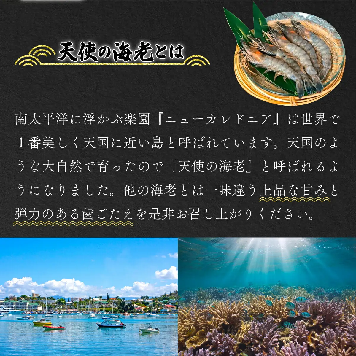 「えび」の灰干し食べ比べセット！「天使の海老」VS「赤えび」