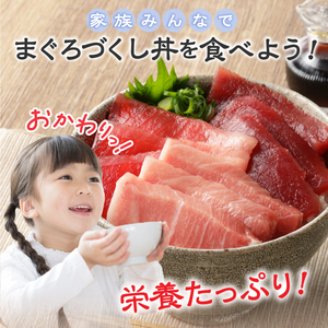 a55-010　マグロ 大トロ 中トロ ねぎとろ 詰合せ セット S9