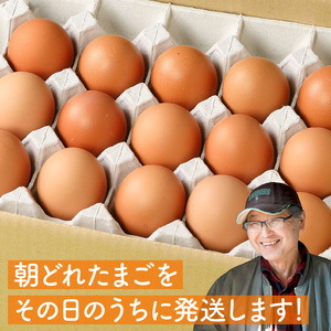 延岡産もみじ玉子30個 N033-YA0140