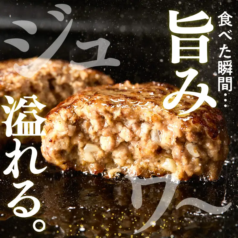 定期便 3回 山形県産 牛肉ハンバーグ 24個 隔月届く 定期便