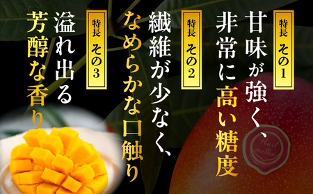 マンゴー パルメロ マンゴー[宮崎 1玉 希少種 650g以上 糖度20度以上]