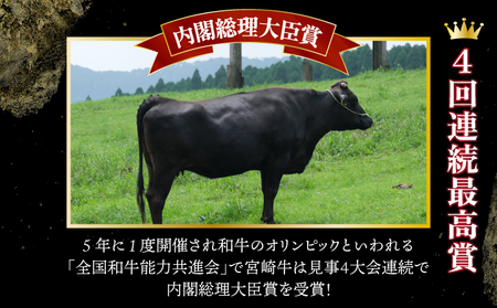 宮崎牛ロースステーキセット 計500g （250g×2）_K030-002