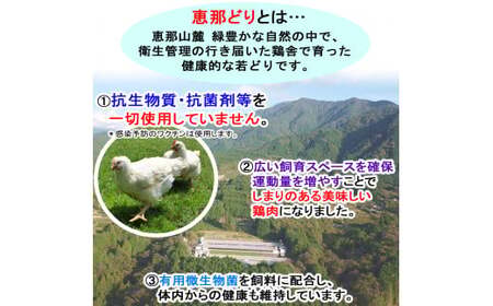 産地直送！恵那どり手羽元 5本×8パック 冷凍 F4N-2396