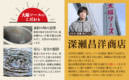 昔懐かし大陽ソース各500ml×3本セット 深瀬昌洋商店 《90日以内に出荷予定(土日祝除く)》 和歌山県 紀の川市