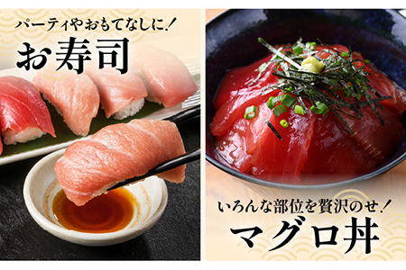 【海のダイヤ！近大マグロ そのまま1本お届け】長崎県 五島産 近大マグロ 丸ごと1本 40kg以上！ 鮮魚 赤身 大トロ 中トロ【ツナドリーム五島】 [PES001]