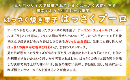 ほろにがスイーツ・はっさく焼き菓子 はっさくプーロ 1箱　【アミティ有限会社 観光特産センターこかわ】《90日以内に出荷予定(土日祝除く)》 和歌山県 紀の川市