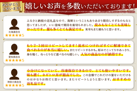 a12-150202606　【2026年6月発送】 ねぎとろ S4