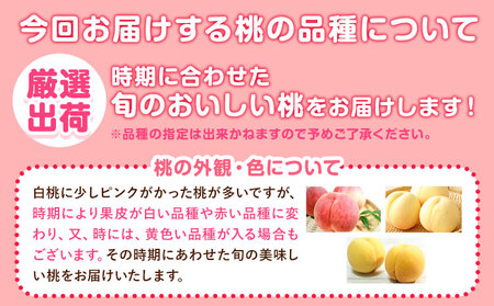 桃 あら川の桃 約2kg 5～8玉