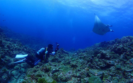 ダイビング 久米島ファンダイビング利用券1名様 1日3ダイブ×3日間 マリン アクティビティ