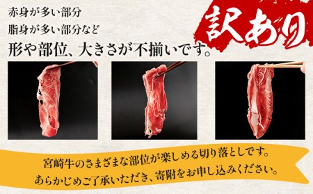 牛肉 宮崎牛 こま切れ・切り落とし 1.2kg 訳あり 牛肉