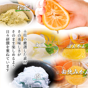 高知アイスのアイスクリーム　8種類×2 高知アイス 土佐 お取り寄せ おすすめ 美味しい 素材 こだわり ギフト 特産品 産地直送 送料無料