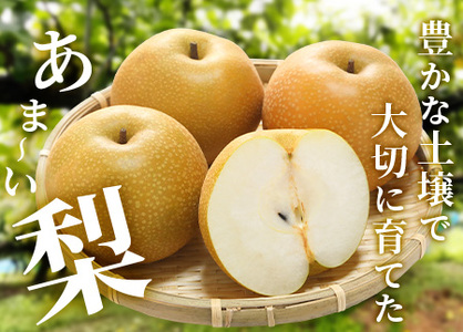 【2026年8月中旬～発送】豊永の 梨 約3kg 熊本県 070-0593